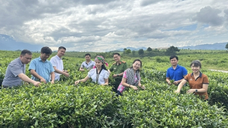 “Tuần Du lịch - Văn hóa và Giải Marathon Lai Châu lần thứ II, năm 2025” diễn ra từ ngày 3-5/10