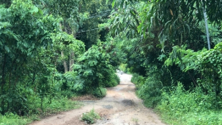 Điều tra vụ con trai dùng dao sát hại mẹ, chém gây thương tích chị gái của mình