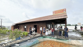 Một thoáng cù lao