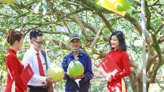 Agribank thúc đẩy phát triển bền vững với chương trình ưu đãi “xanh”