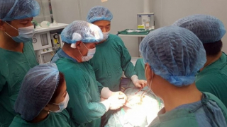 Hơn nửa thế kỷ trao gửi yêu thương