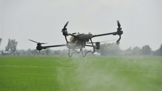 Đồng bằng sông Cửu Long chuyển mình với nông nghiệp thông minh