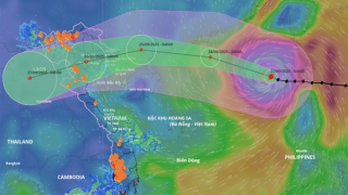 Thủ tướng chỉ đạo tập trung triển khai công tác ứng phó siêu bão Ragasa