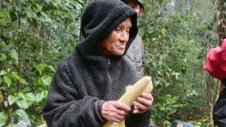 Cụ ông 78 tuổi sống sót kỳ diệu trong rừng sau 6 ngày đi lạc