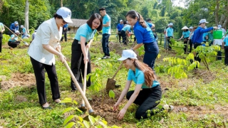 “Xanh hóa” trong hoạt động nội bộ, từ chiến lược đến hành động của Agribank