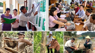 Khảo sát mức sống dân cư làm căn cứ xác định các chuẩn chính sách xã hội