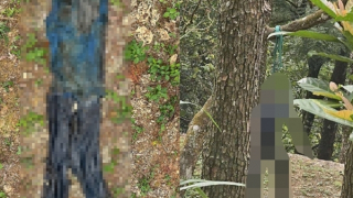 Thông báo tìm tung tích nạn nhân tử vong ở Tam Đảo