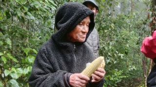 Cụ ông 78 tuổi tiết lộ “bí kíp” sống sót 6 ngày lạc trong rừng mưa