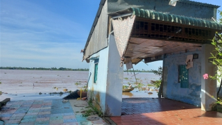 Đồng Tháp: Tiếp tục xảy ra sạt lở bờ sông Tiền, gây ảnh hưởng 20 căn nhà