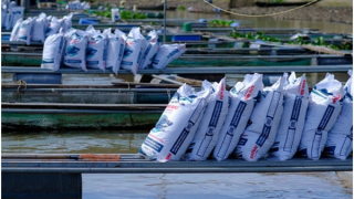 Sao Mai Super Feed: Đồng hành kiến tạo hai chữ “khoa học” cho ngành cá tra