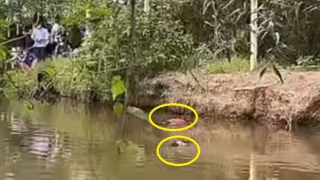 Vụ 2 người tử vong dưới hầm múc Sao Mai (Tây Ninh): Không có dấu hiệu tội phạm