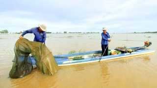 Mùa nước nổi nơi đầu nguồn