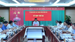 Bộ Chính trị, Ban Bí thư xem xét, thi hành kỷ luật tổ chức đảng, đảng viên vi phạm