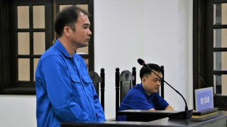 Tuyên phạt “cò lúa” lừa đảo tiền tỷ