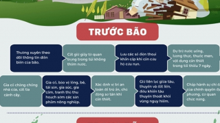 Trước khi bão số 10 đổ bộ, người dân cần làm gì để đảm bảo an toàn?