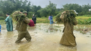 Công an xã, phường ở Huế giúp dân lợp mái nhà, gặt lúa chạy bão