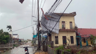 Khẩn trương khắc phục thiệt hại do dông lốc quét qua một số xã ở Ninh Bình