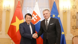 Thủ tướng Slovakia Robert Fico tiếp Bộ trưởng Lương Tam Quang