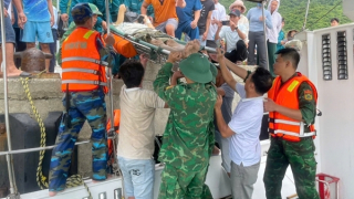 Đưa hai bệnh nhân nguy cấp ở Cù Lao Chàm vào bờ cấp cứu