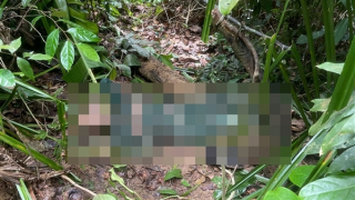 Tìm thấy thi thể người đàn ông mất tích 4 ngày trong rừng sâu