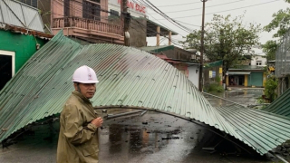 Bão số 10 gây thiệt hại nặng nề ở Nghệ An
