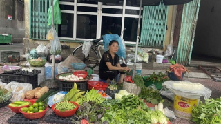 Mưa bão nhưng giá cả cơ bản ổn định, nguồn hàng dồi dào