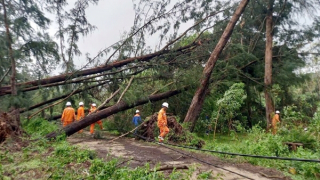 Cung cấp điện trở lại cho gần 70% khách hàng bị ảnh hưởng của bão số 10