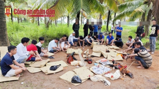 Truy tìm 6 đối tượng liên quan đến vụ đá gà ăn tiền trên 1,6 tỷ đồng