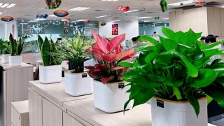 Xu hướng văn phòng xanh - Lợi thế tạo trải nghiệm đặc biệt cho khách thuê