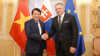 Slovak Prime Minister Robert Fico hosts Minister Luong Tam Quang