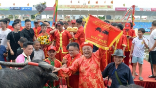 Nghệ nhân, cựu đại tá Công an 91 tuổi lần thứ 3 vô địch lễ hội chọi trâu Đồ Sơn