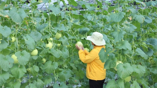 Mở rộng chính sách thu hút doanh nghiệp đầu tư