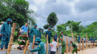 Hơn 357 tỷ đồng chi trả bảo hiểm ban đầu về người và tài sản bị thiệt hại bởi bão số 10