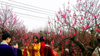 Bộ Nội vụ trình Chính phủ đề xuất nghỉ Tết Nguyên đán 2026 kéo dài 9 ngày