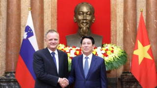 Chủ tịch nước: Việt Nam luôn mong muốn phát triển quan hệ hữu nghị với các nước