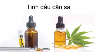 Nguy hiểm khôn lường của thuốc lá điện tử trộn ma tuý