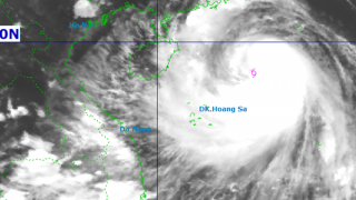 Sau khi vào vịnh Bắc Bộ rạng sáng ngày 6/10, bão số 11 suy yếu dần