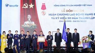 Tổng Công ty Lâm nghiệp Việt Nam phát triển kinh tế xanh, góp phần đảm bảo an ninh, quốc phòng