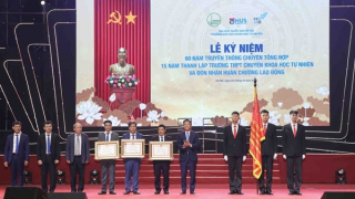 Trường THPT Chuyên KHTN và hai bộ môn được trao tặng Huân chương Lao động hạng Nhất, Nhì, Ba