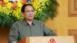 Thủ tướng: Sắp xếp đơn vị sự nghiệp theo chủ trương của Đảng, bám sát thực tiễn