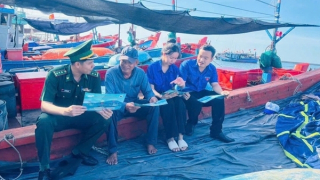 Quảng Ngãi quyết liệt xử lý tàu cá vi phạm IUU