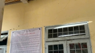 Xảy ra 19 trận động đất ở Quãng Ngãi trong 2 ngày