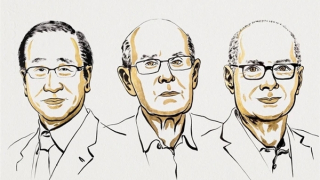 Nobel Hoá học 2025 vinh danh phát minh khung kim loại hữu cơ