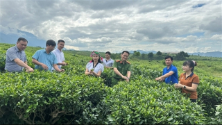 Chuyển đổi số lan tỏa mạnh mẽ ở xã miền núi Tân Uyên (bài 1)