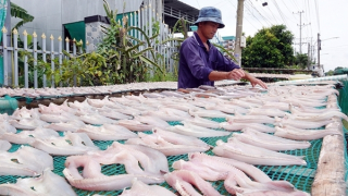 Phát triển làng nghề gắn với sinh kế của người dân