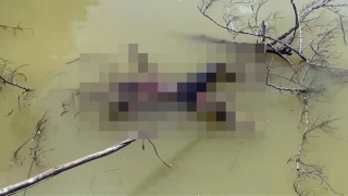 Phát hiện một thi thể trên lòng hồ thủy điện Sông Bung 5