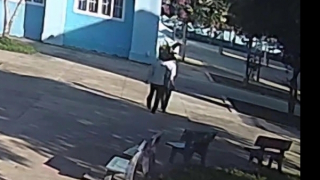 Bộ GD&ĐT yêu cầu xử lý nghiêm vụ thầy giáo hành hung đồng nghiệp ở Đắk Lắk