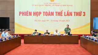 Thẩm tra kết quả thực hiện nhiệm vụ bảo đảm trật tự, an toàn giao thông năm 2025