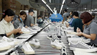 Doanh nghiệp Việt làm gì để thích ứng với thuế đối ứng?