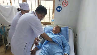 Mang theo con rắn độc đã cắn mình khi vào bệnh viện cấp cứu